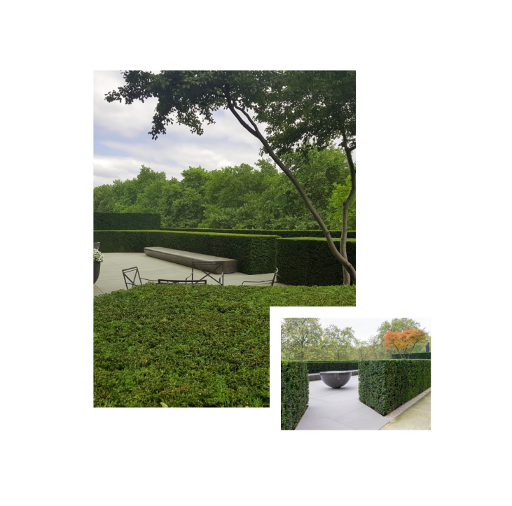 Garden Image