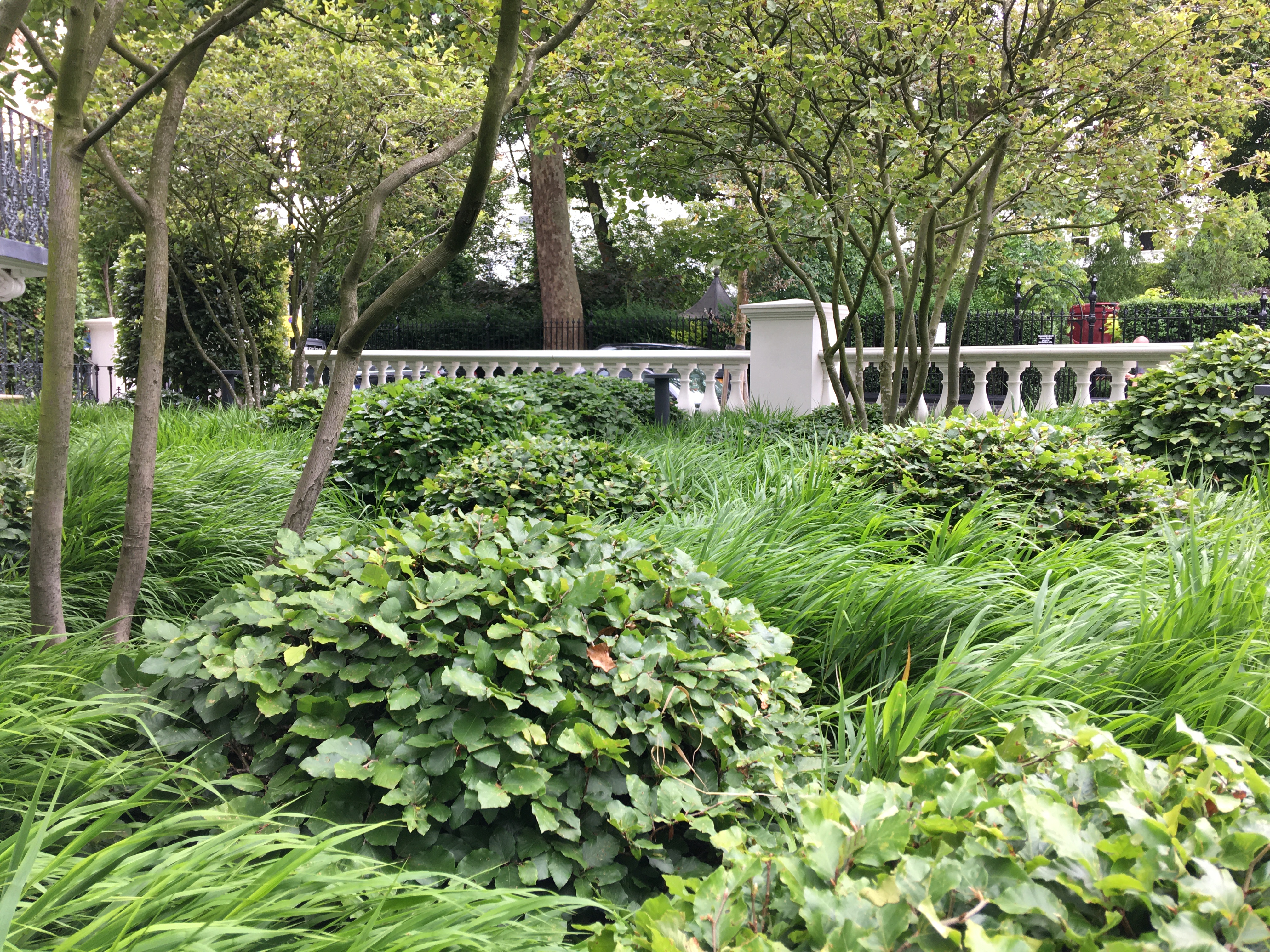 Garden landscaping