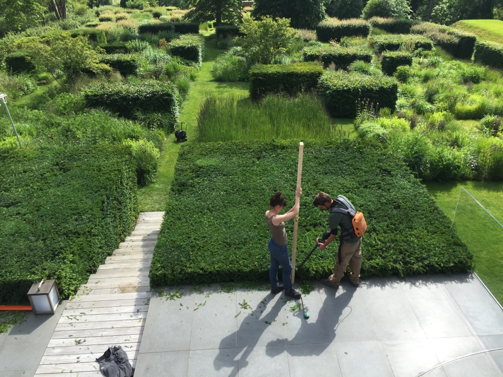 Landscaper working