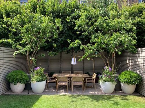 Luxury garden seating area