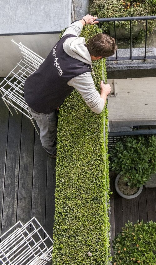 Garden landscaping