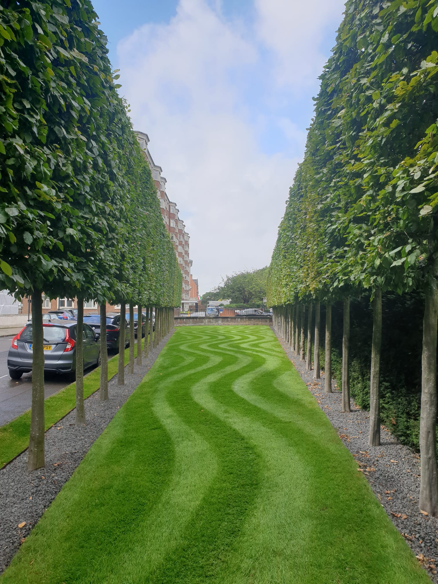 Garden Background