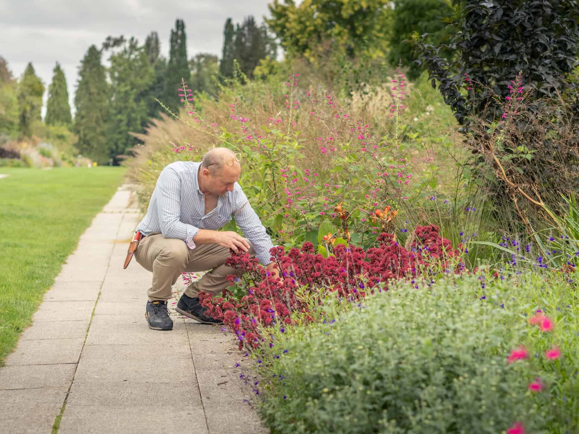 Rooted Garden Care Head Gardener