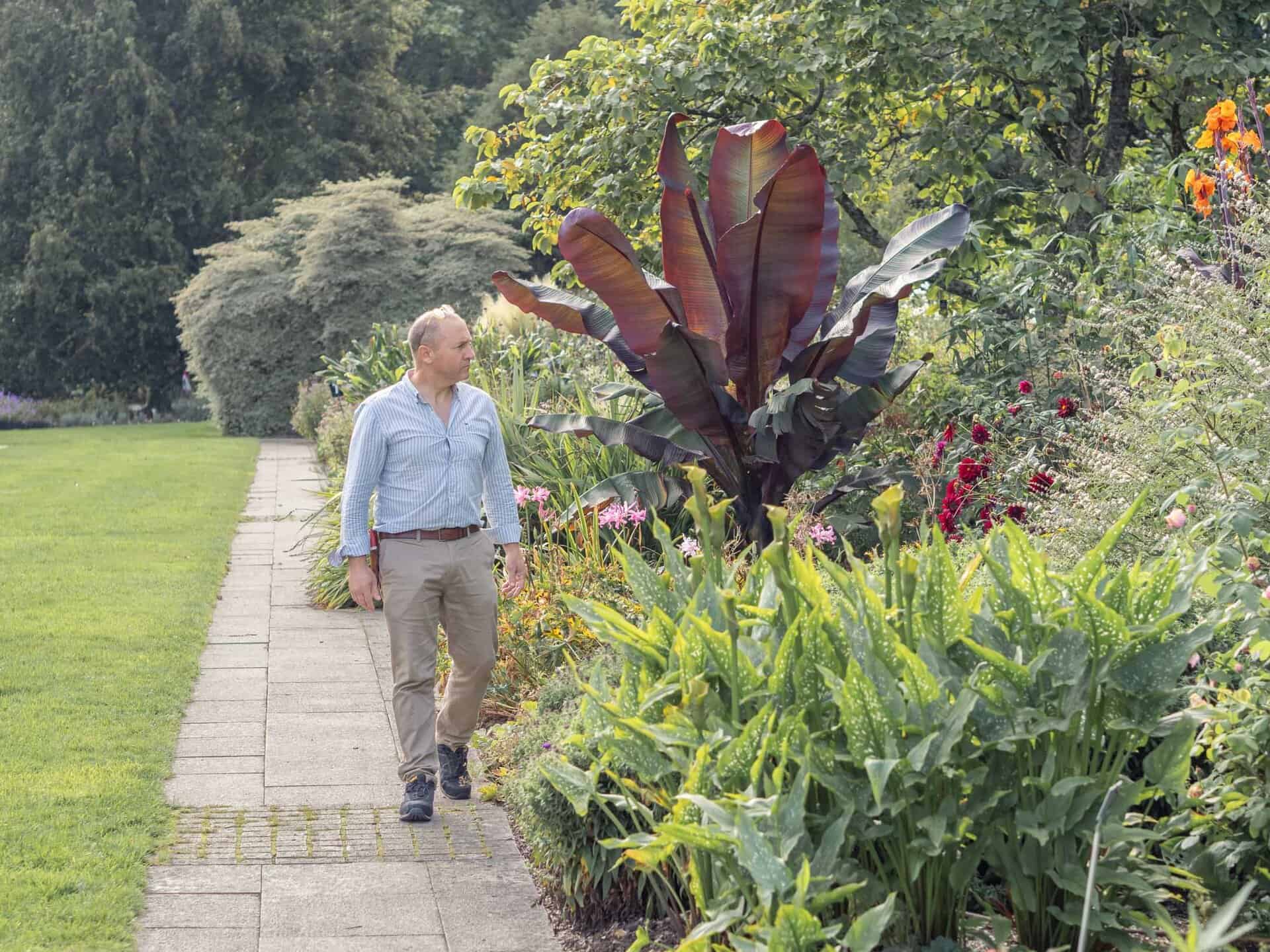 Rooted Garden Care Garden Consultant