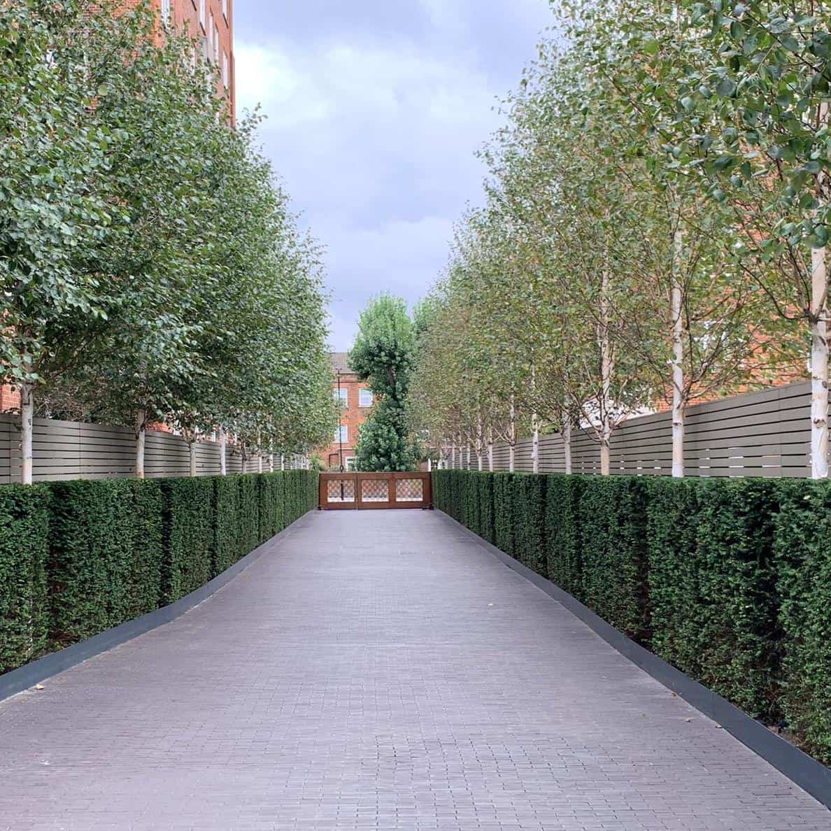 Tree care and management