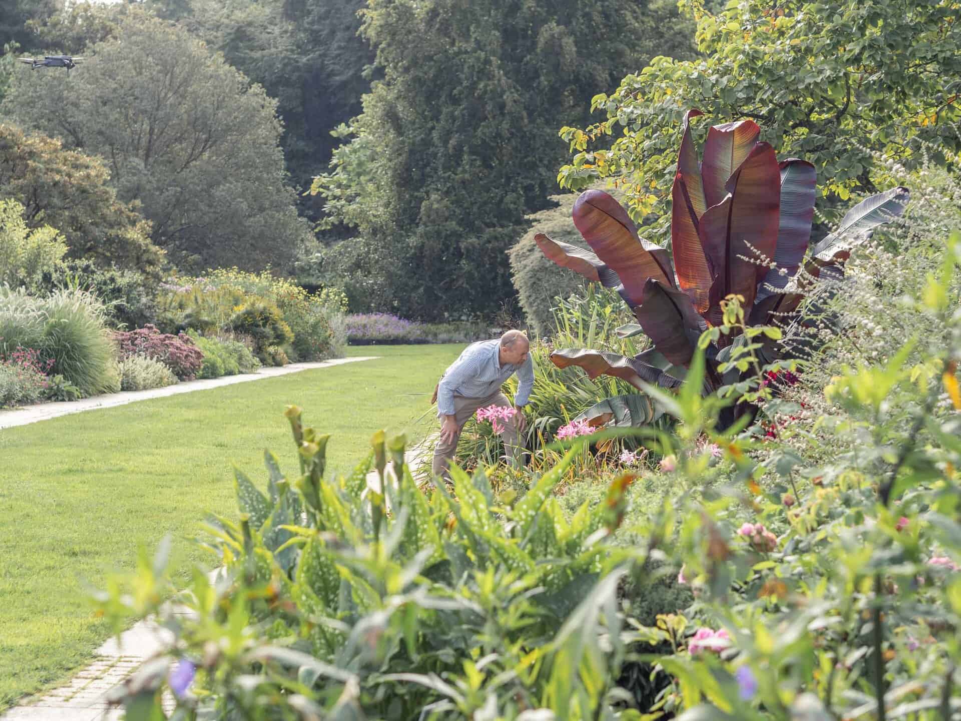 Rooted Garden Biosecurity and pest management