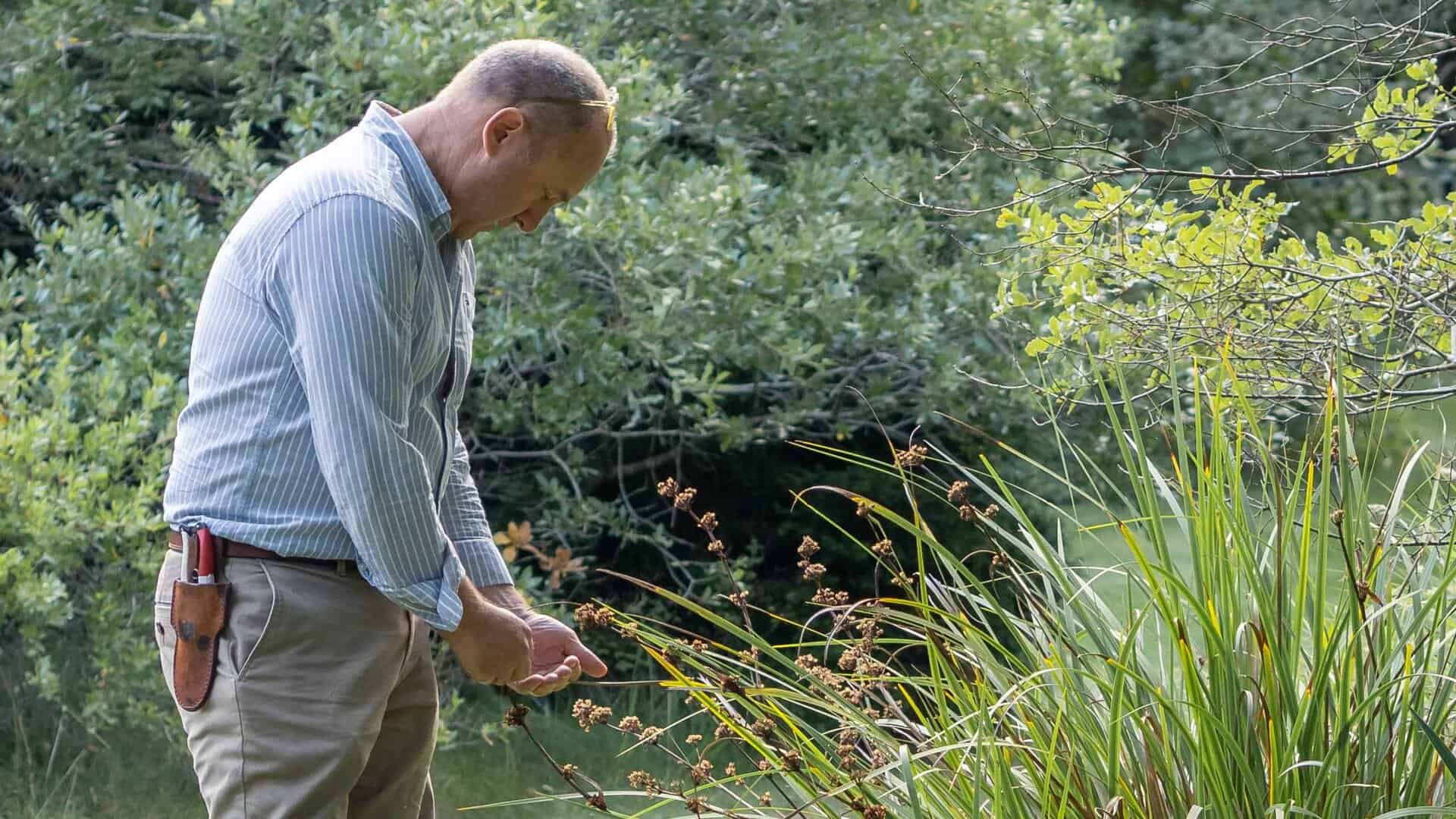 Garden & Green Space Designer