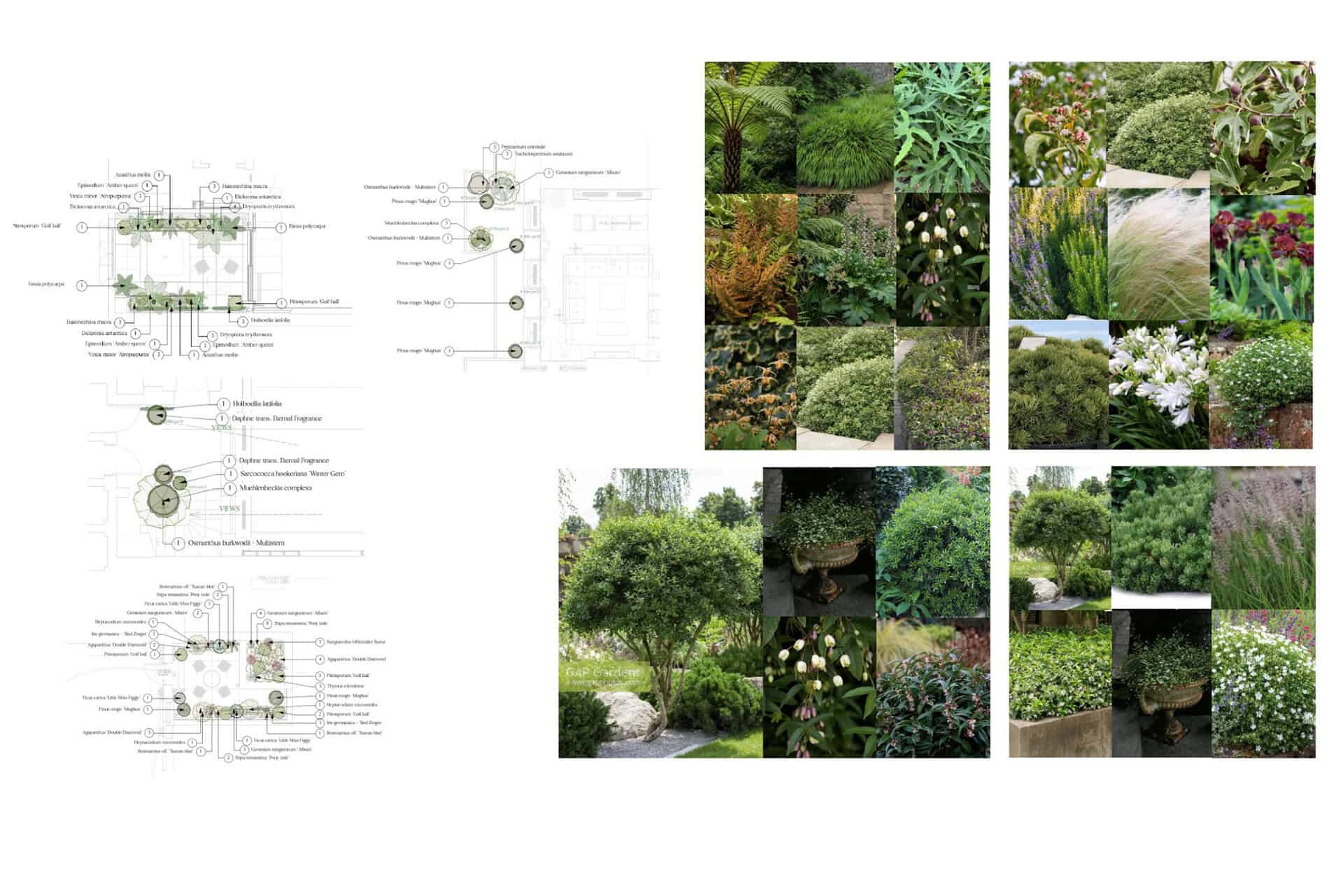 Rooted Garden Care Head Gardener