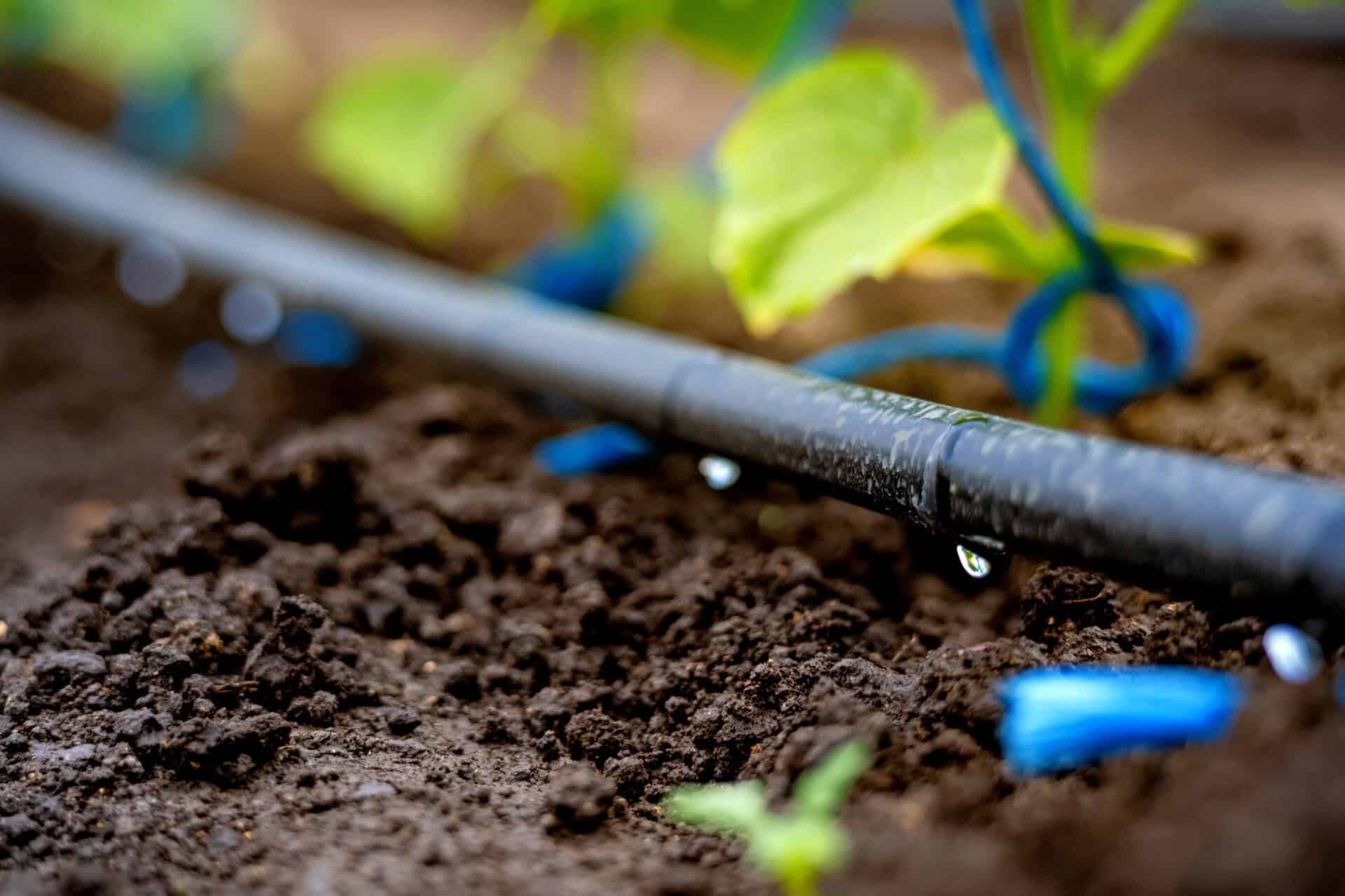 Rooted Garden Care irrigation management
