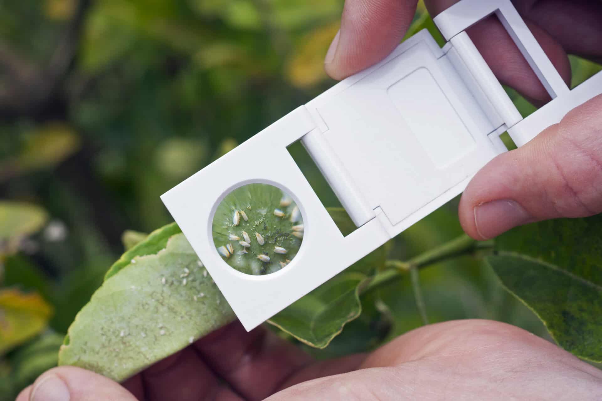Plant Health Specialist