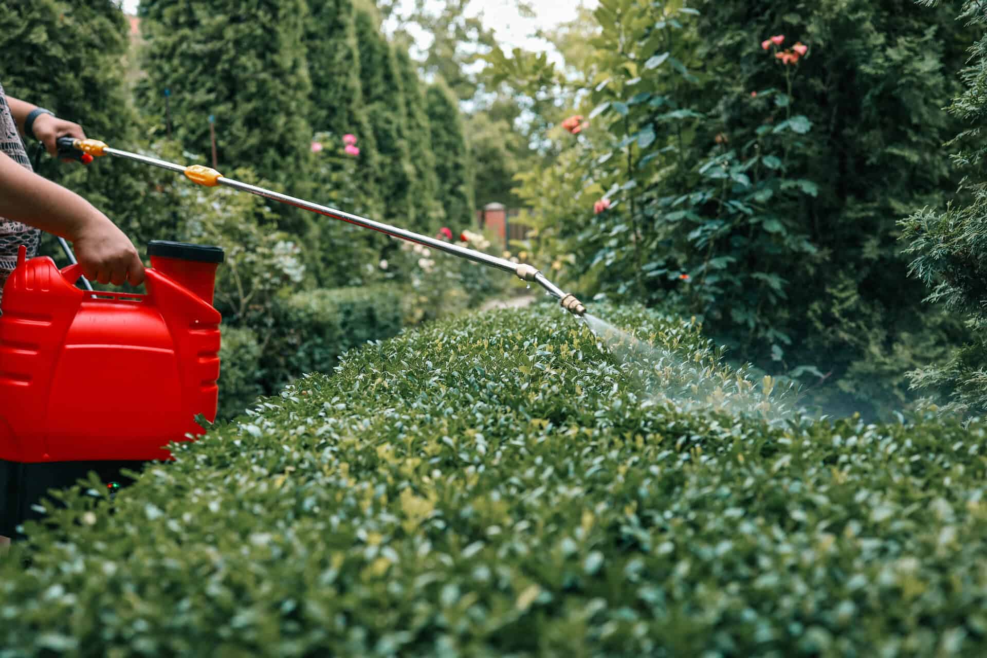 Pest management